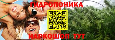 дмт Можайск