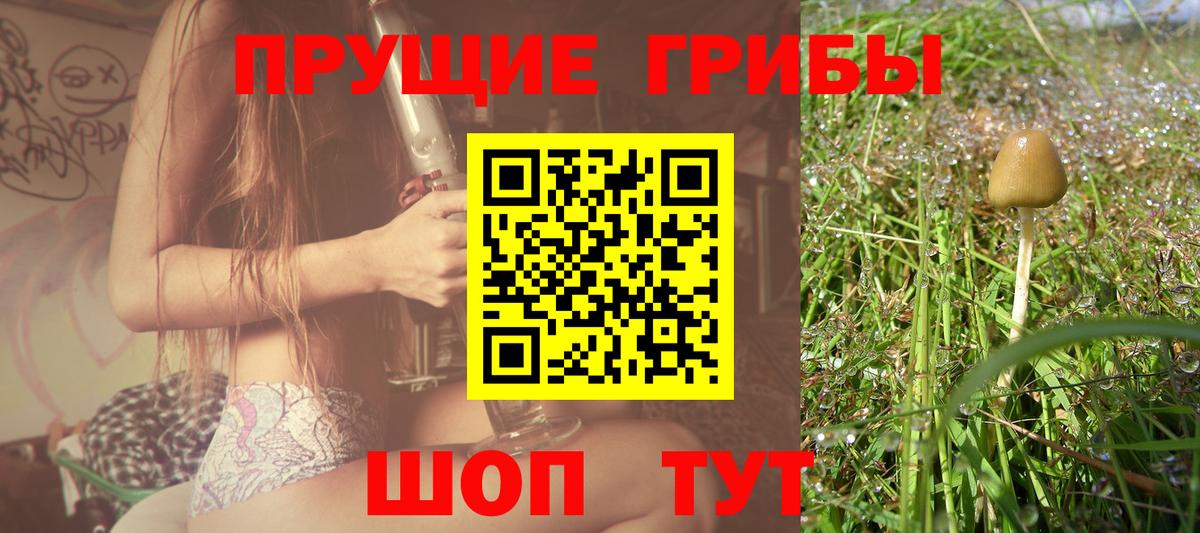 Великие Луки  как найти закладки  Вход с VPN  Псилоцибиновые грибы мухоморы 