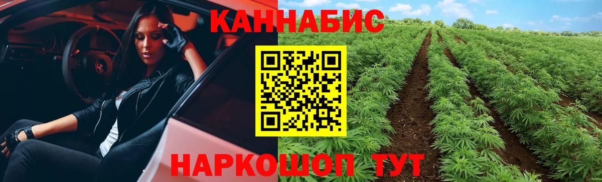 Бошки марихуана гибрид Великие Луки